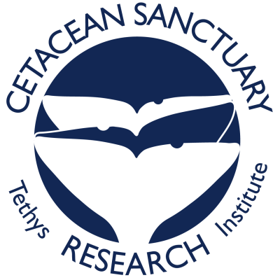 CSR logo blu_ trasp-02