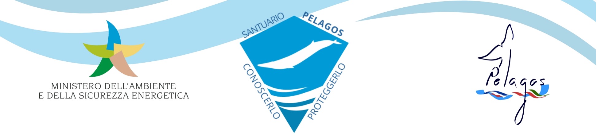 Banner-Progetto-Mase