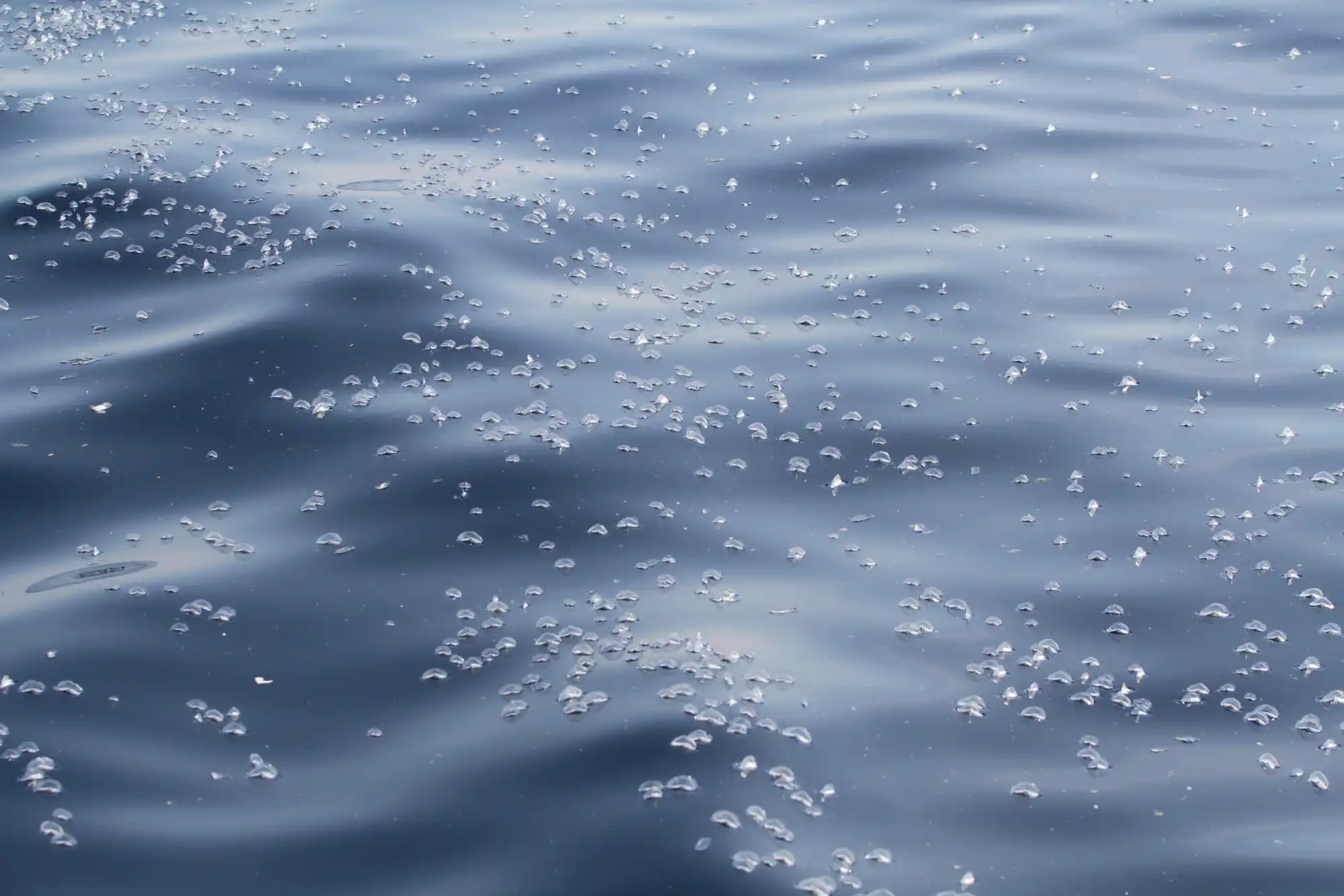 CSR_ANIM_04_2013_012_SAIR