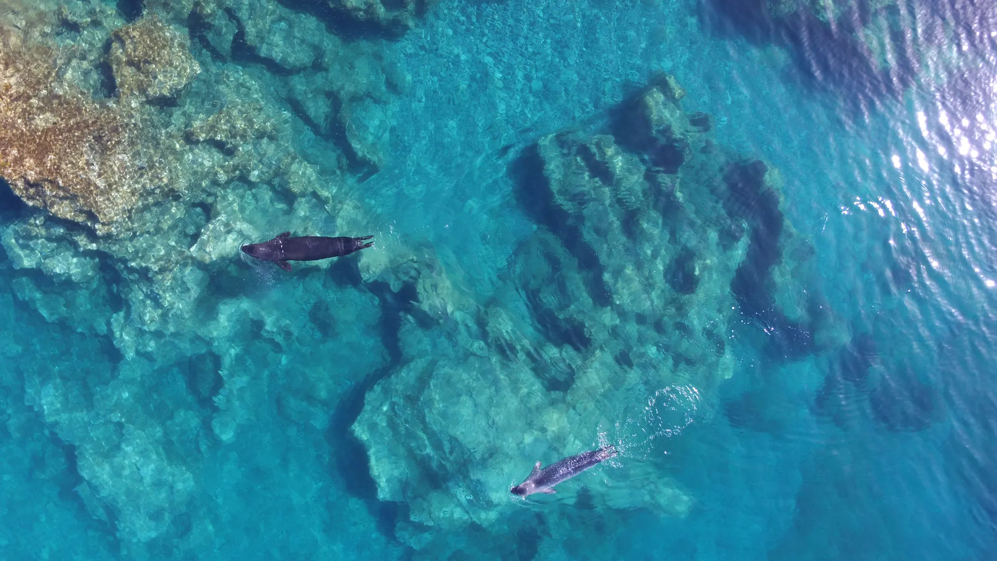 IDP-Monk_Drone2019-3