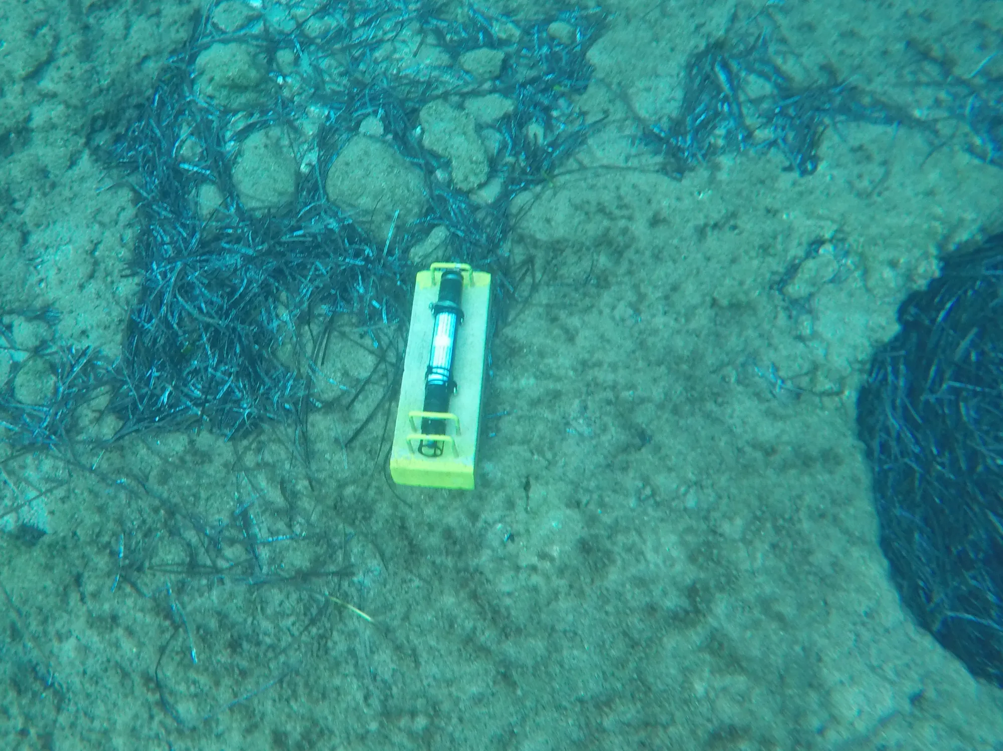 IDP-SoundtrapRecovery_20211013_001_MCOS