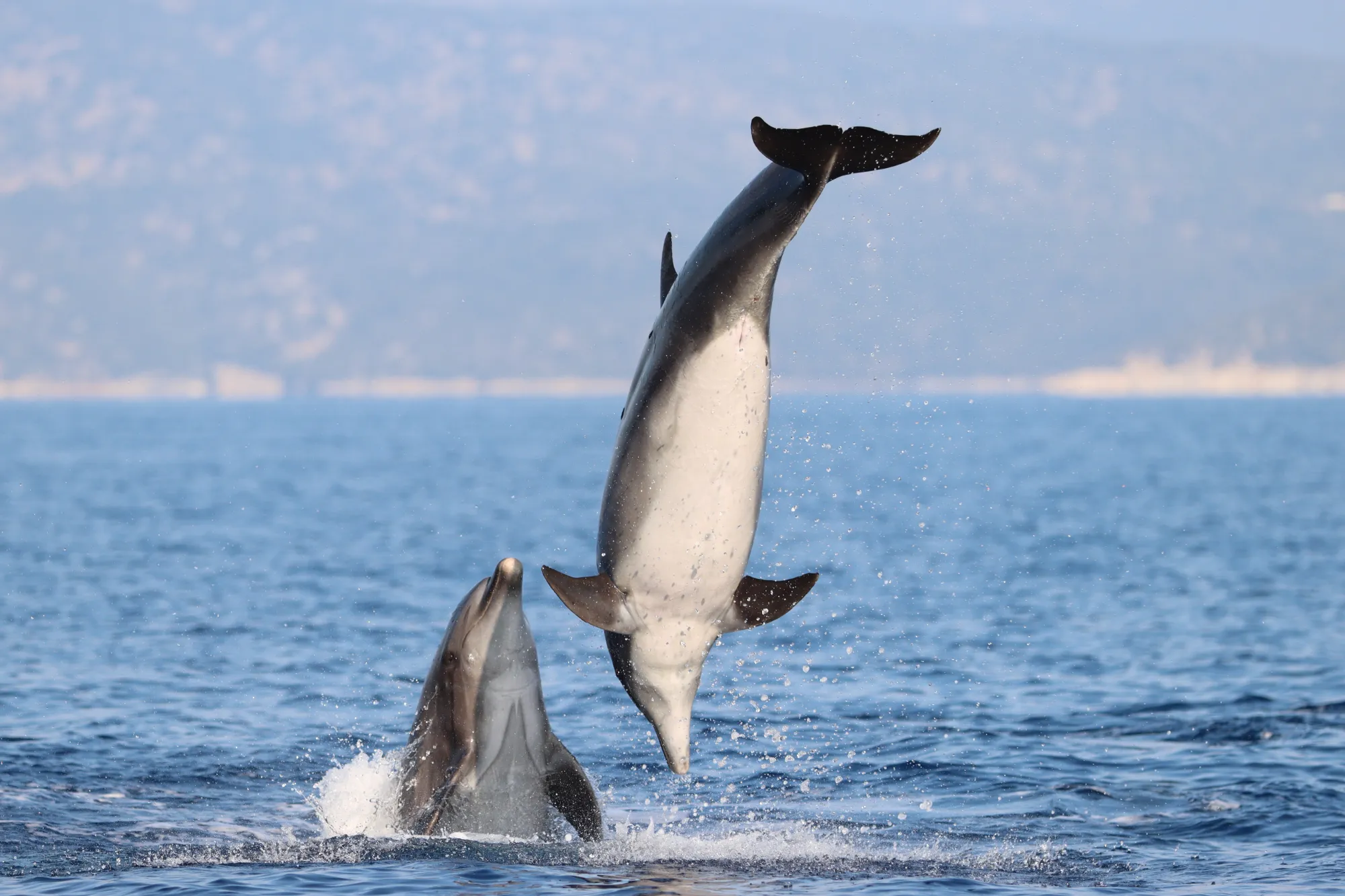 ION_20230915_006_0440_Tt_JGON